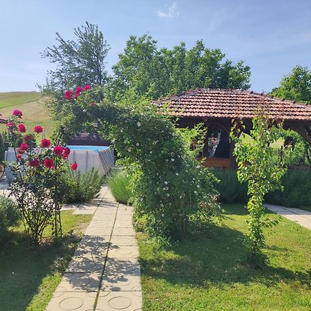 Hotel Pod Orehom Drvena Kuca I Sauna Krapina Exteriér fotografie