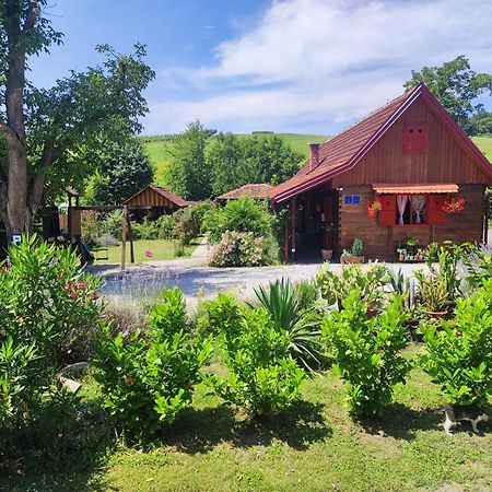 Hotel Pod Orehom Drvena Kuca I Sauna Krapina Exteriér fotografie