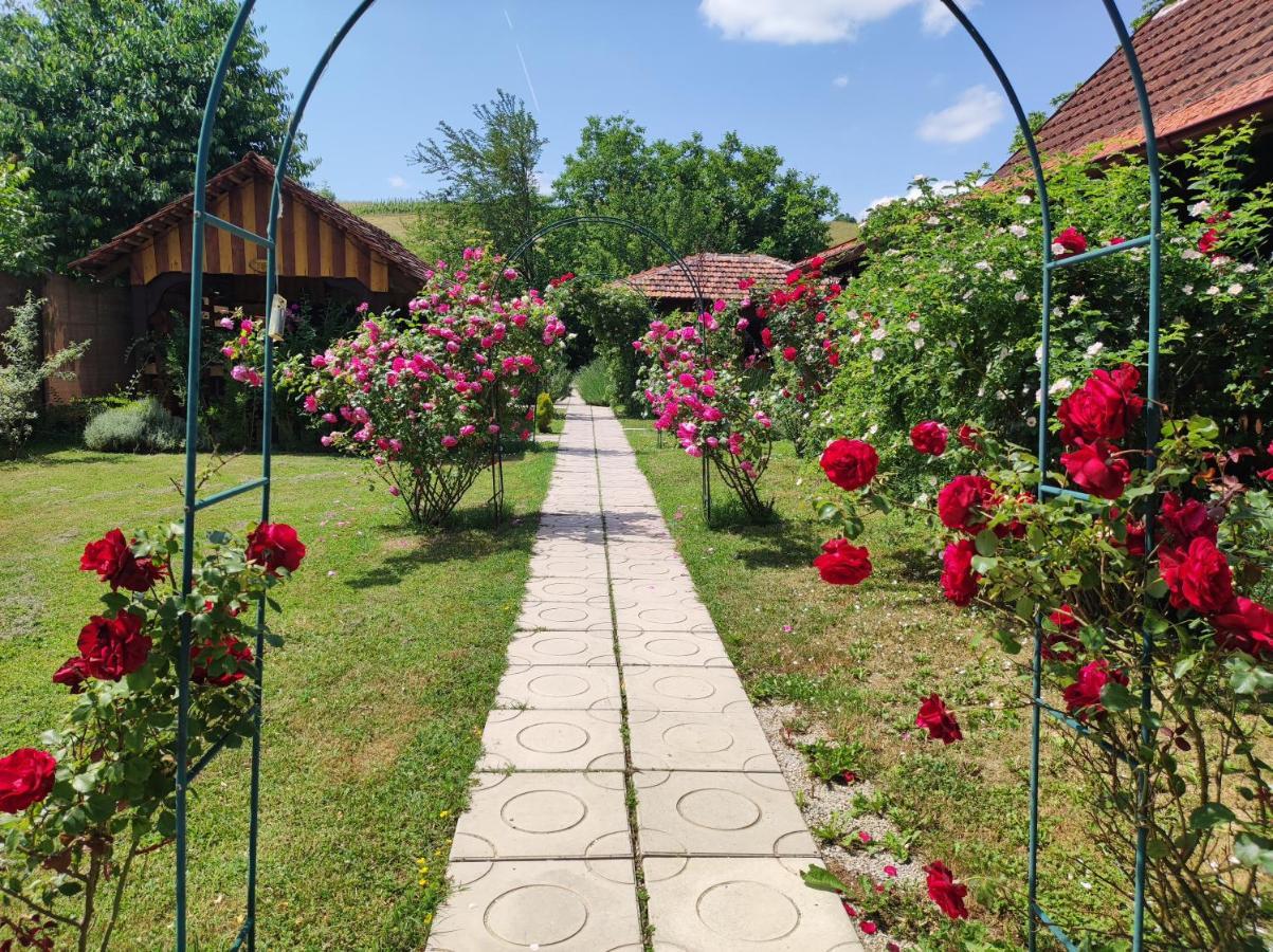 Pod Orehom Drvena Kuca I Sauna Krapina Exteriér fotografie