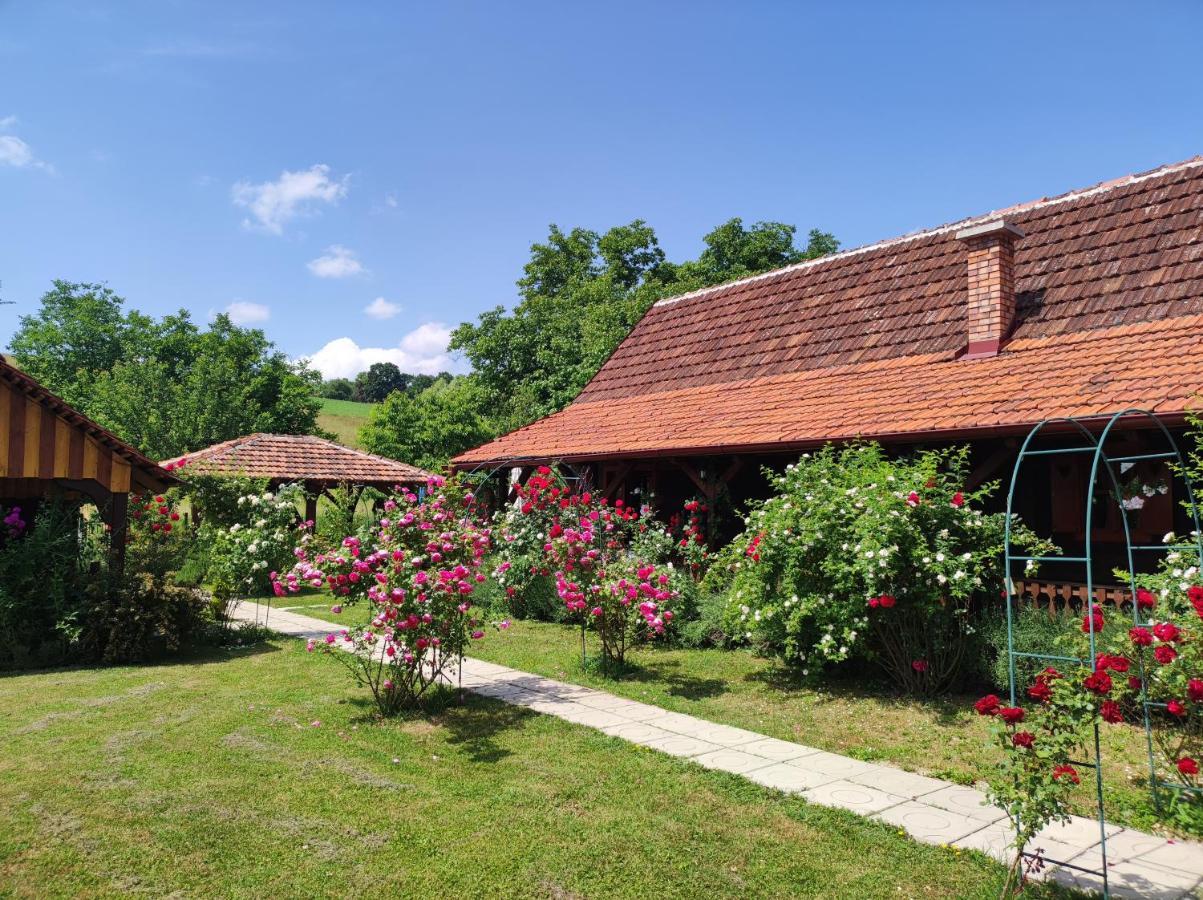 Hotel Pod Orehom Drvena Kuca I Sauna Krapina Exteriér fotografie