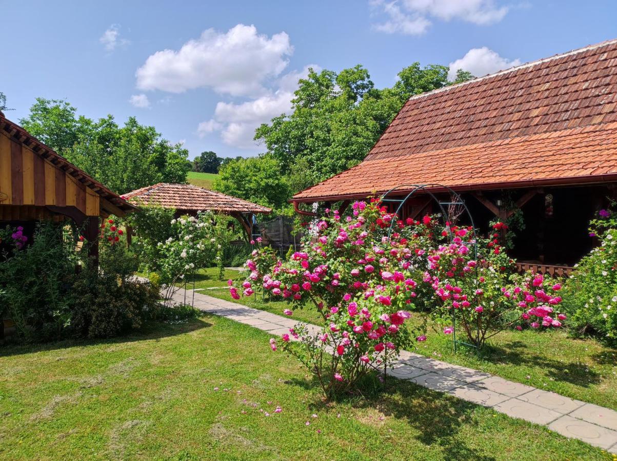 Pod Orehom Drvena Kuca I Sauna Krapina Exteriér fotografie