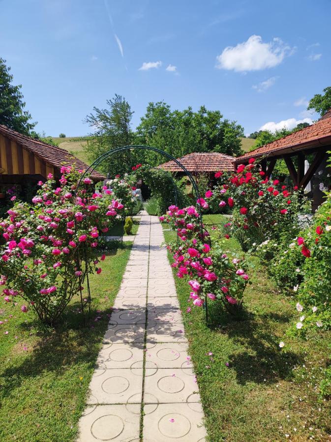 Pod Orehom Drvena Kuca I Sauna Krapina Exteriér fotografie