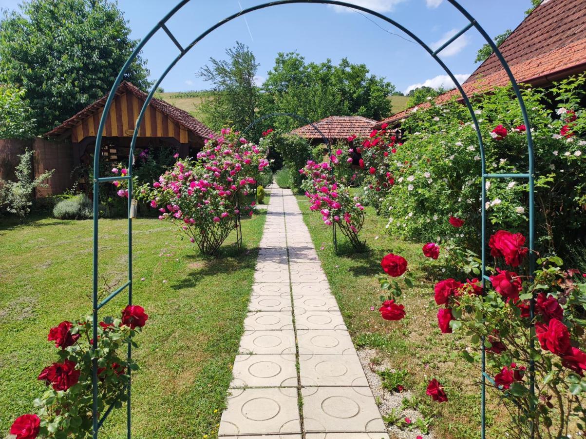 Hotel Pod Orehom Drvena Kuca I Sauna Krapina Exteriér fotografie